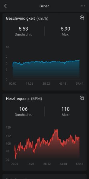 Zepp App - Auswertung Aktivität