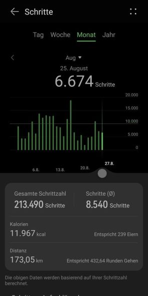 Auswertung Schritte auf Monatsbasis