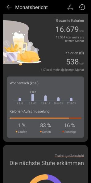 Monatsbericht (Auszug)