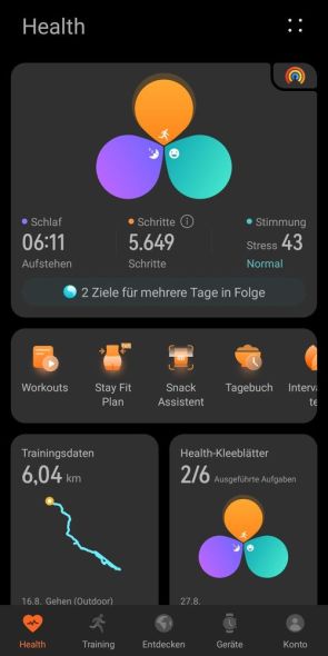 Huawei Health – Dashboard – Kleeblatt