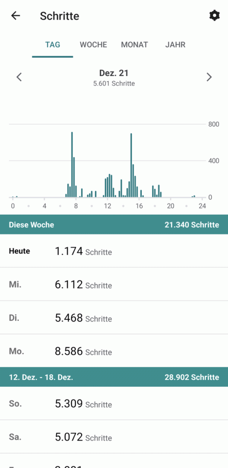 Schritte - Tagesverlauf