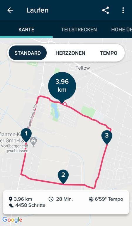 Auswertung in der Fitbit App