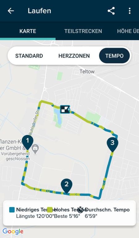 Auswertung in der Fitbit App