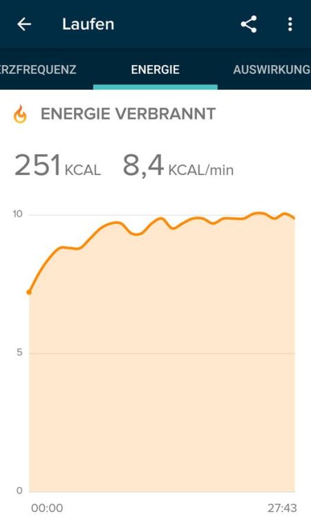 Auswertung in der Fitbit App