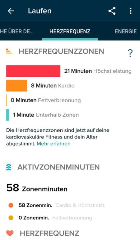 Auswertung in der Fitbit App