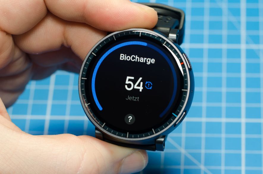 BioCharge: Aktueller Wert