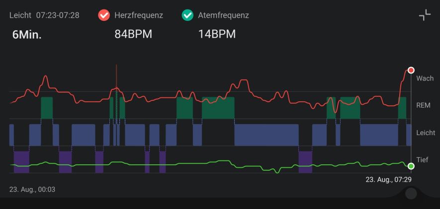 Übersicht der Schlafphasen