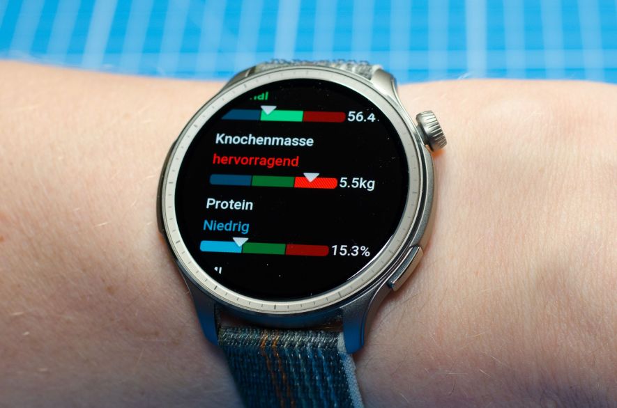 Ergebnisse der Bio-Impendanz-Analyse