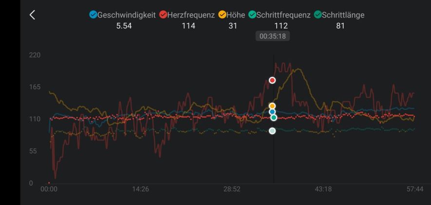 Höhenprofil + Herzfrequenz + Geschwindigkeit