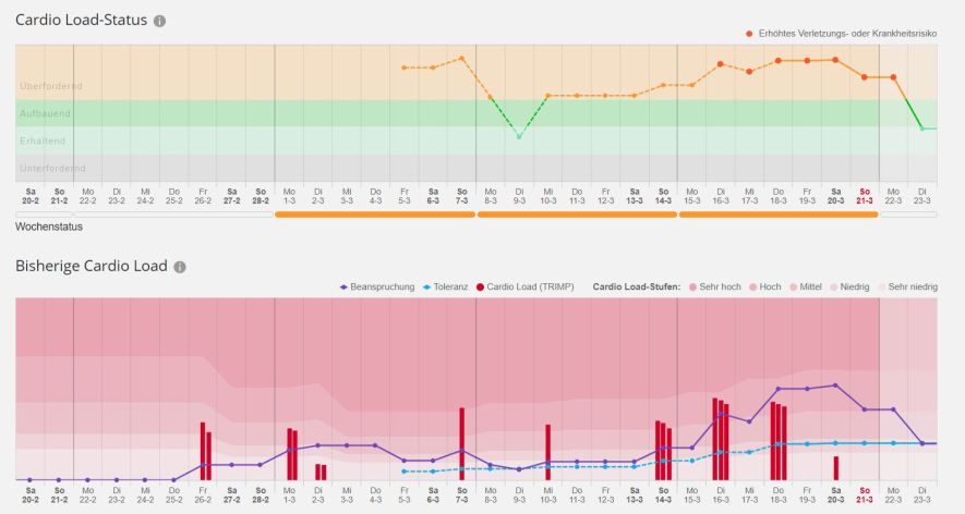 Cardio Load in Polar Flow (Web)