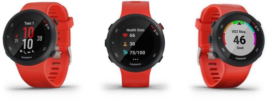 Garmin Forerunner 45  (Quelle: Garmin)