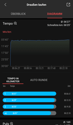 Zepp App - Auswertung Laufen (2/5)