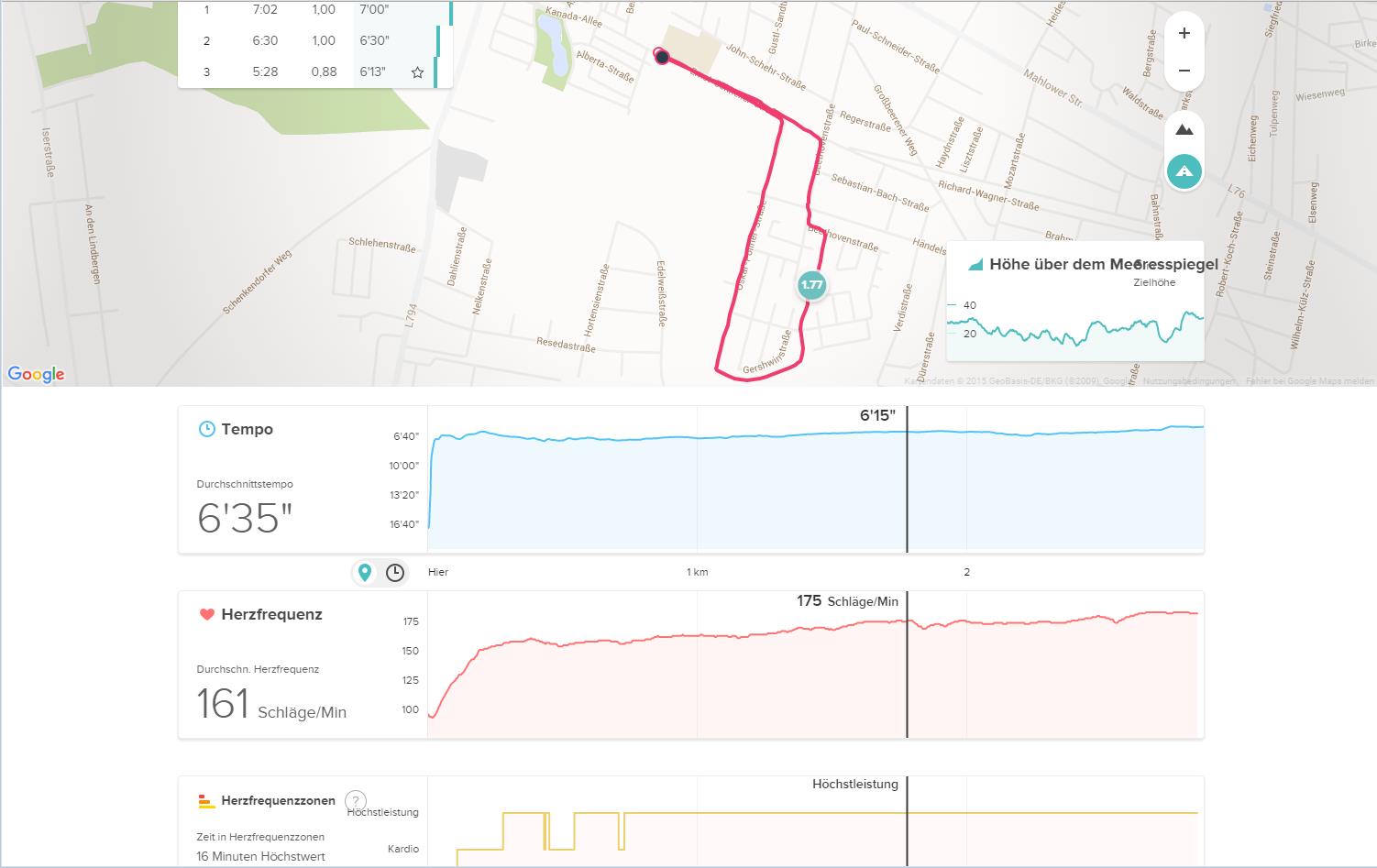 Fitbit - Details eines Laufs in der Web-Oberfläche