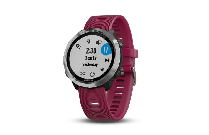 Garmin Forerunner 645  (Quelle: Garmin)