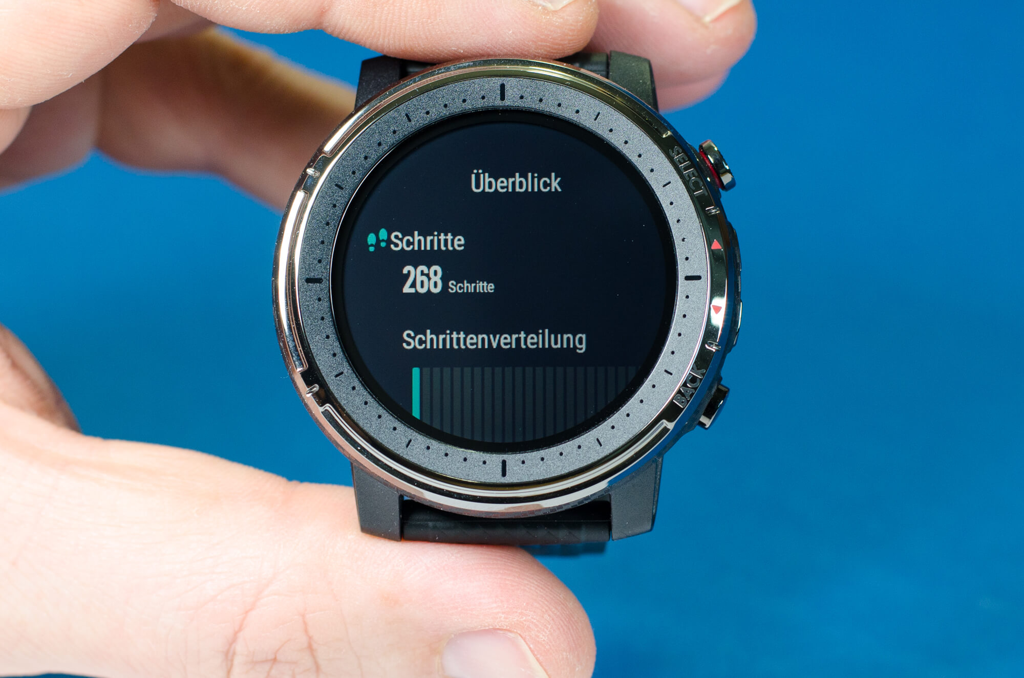 Amazfit Stratos 3 - Auswertung Schritte